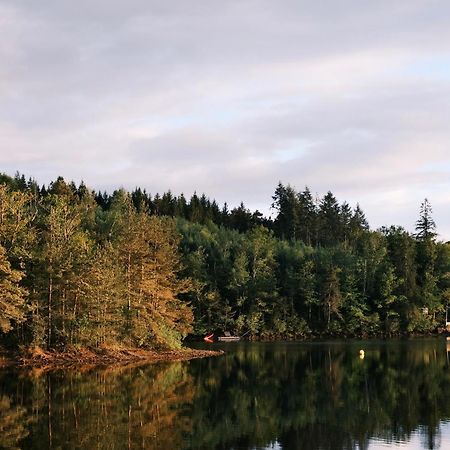 Lodge Avec Spa Privatif - Foret Et Lac Liginiac Buitenkant foto