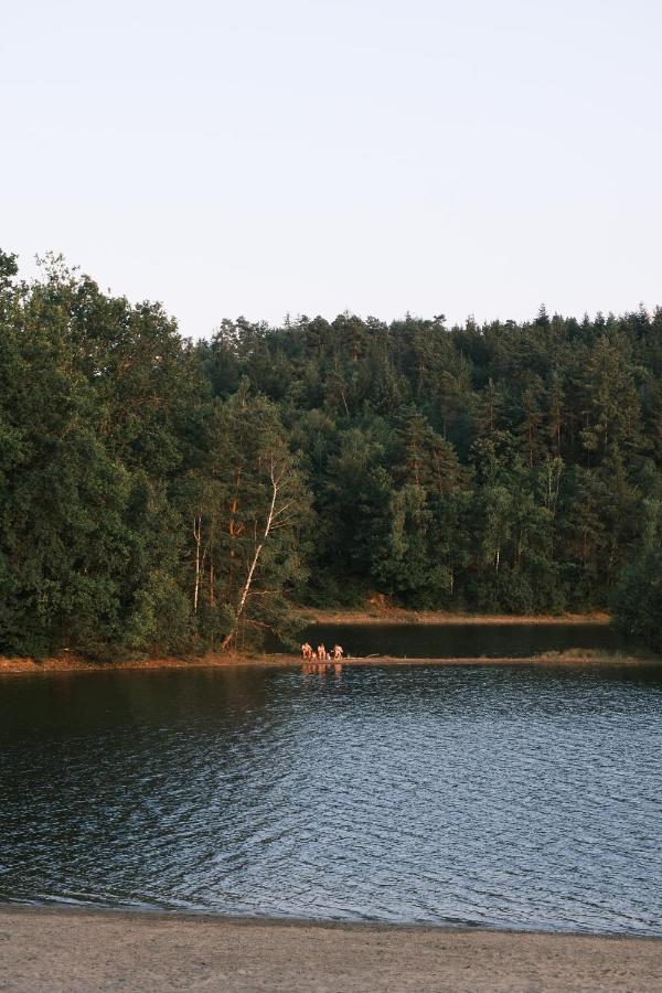 Lodge Avec Spa Privatif - Foret Et Lac Liginiac Buitenkant foto