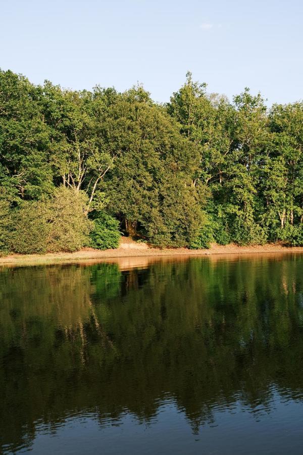 Lodge Avec Spa Privatif - Foret Et Lac Liginiac Buitenkant foto