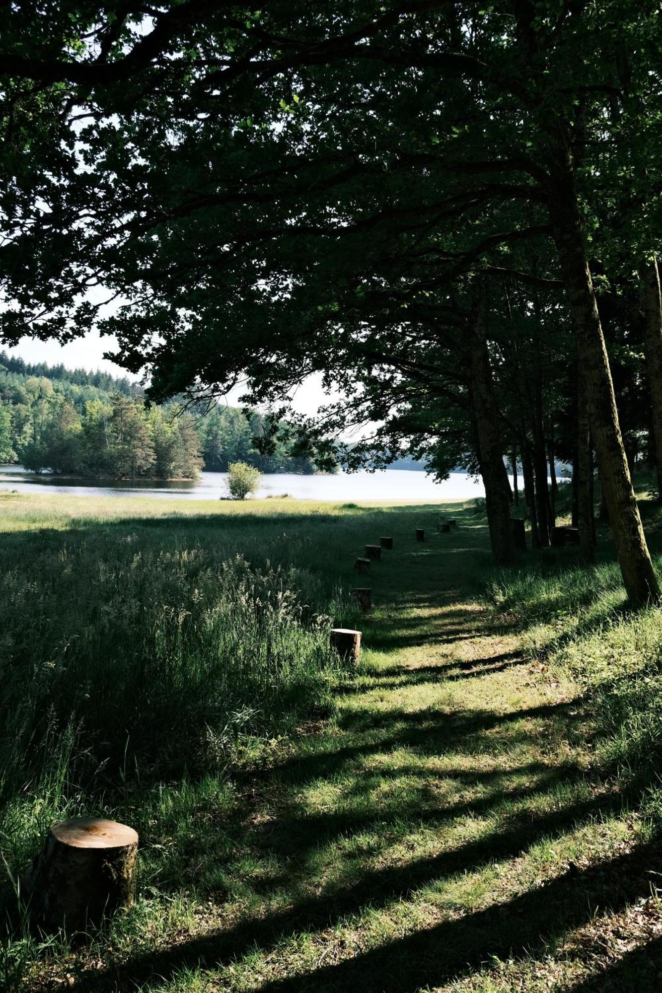 Lodge Avec Spa Privatif - Foret Et Lac Liginiac Buitenkant foto