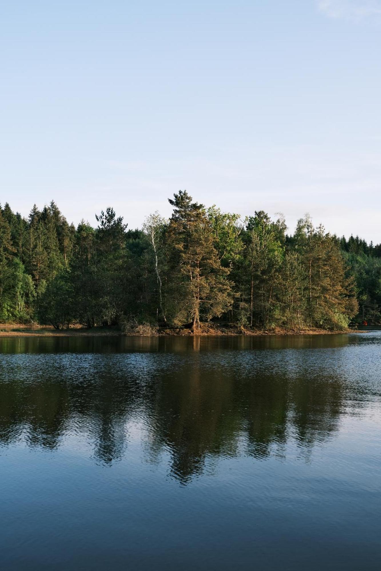 Lodge Avec Spa Privatif - Foret Et Lac Liginiac Buitenkant foto