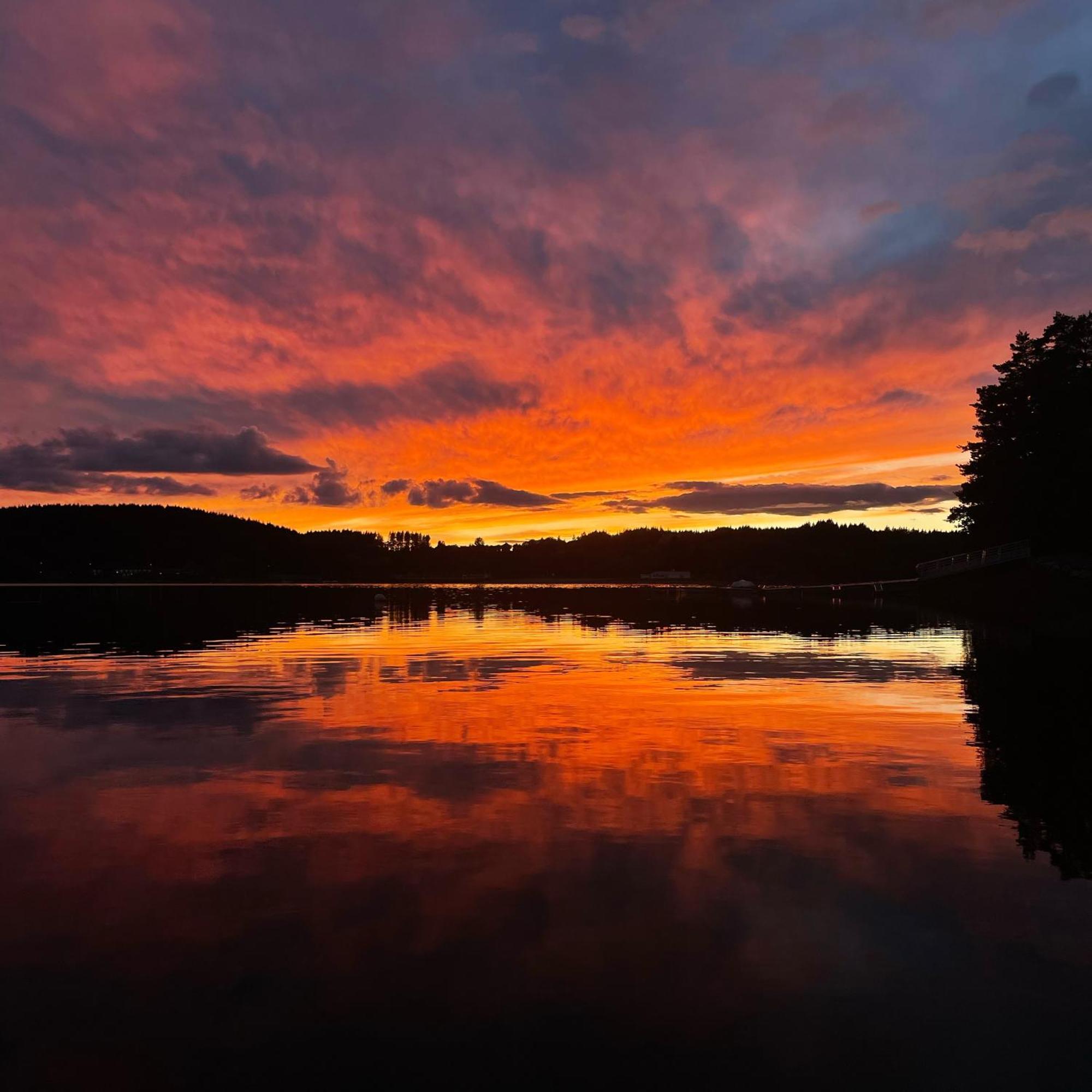Lodge Avec Spa Privatif - Foret Et Lac Liginiac Buitenkant foto